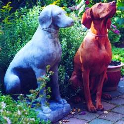 Picture of Dog Stone Garden Sculpture