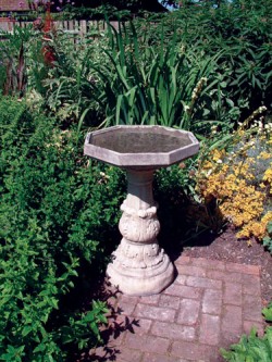Picture of Classical Birdbath