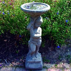 Picture of Urchin Stone Birdbath