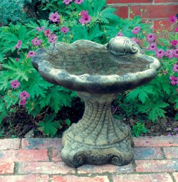 Picture of Shell Stone Birdbath