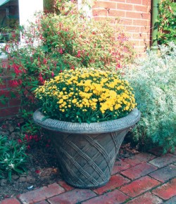 Picture of Thatched Urn
