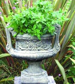 Picture of Handled Urn