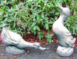 Picture of Pair of Courting Ducks Stone
