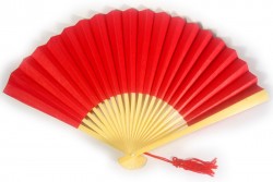 Picture of Red Paper Fan
