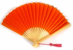 Picture of Orange Hand Fan
