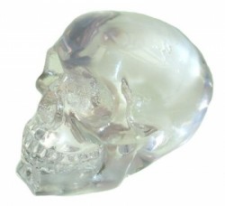 Picture of Skull of Purity Ornament