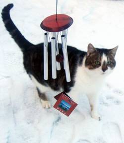 Picture of Woodstock Chimes of Mars (Silver)