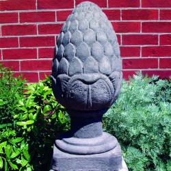 Picture of Large Fir Cone