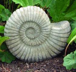Picture of Grand Ammonite Sculpture