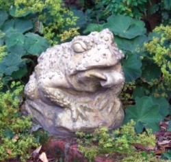 Picture of Toad Sculpture