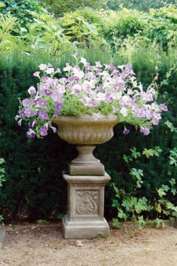 Picture of Medium Victorian Tazza
