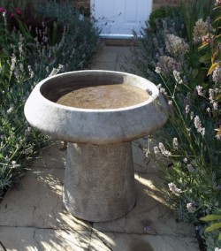 Picture of Pure Birdbath