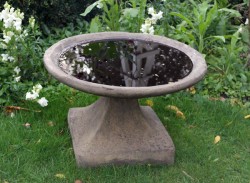 Picture of Low Birdbath
