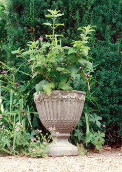 Picture of Vienna Vase 28