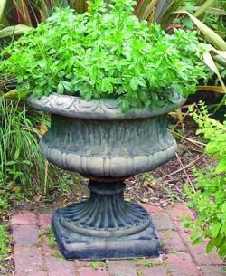 Picture of Derbyshire Vase