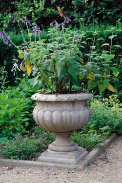 Picture of Buckingham Urn