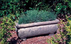 Picture of Catalan Stone Trough