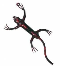 Picture of Red Garden Wall Lizard