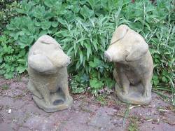 Picture of Pair of Sitting Pigs Stone Statues