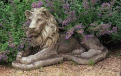 Picture of Chatsworth Lion (Single)