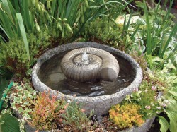 Picture of Large Ammonite Fountain and Circle Reservoir