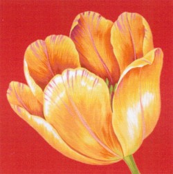 Picture of Flower Woven Cushions