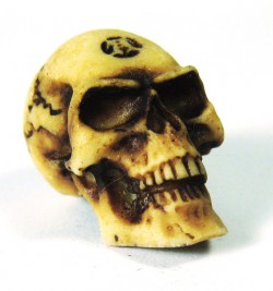 Picture of Lapillus Worry Skull (Small)