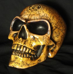 Picture of Omega Skull (Alchemy Gothic)