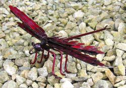 Picture of Wall Dragonfly Metal Sculpture (Red)