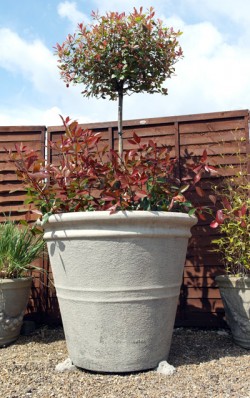 Picture of Giant Flower Pot
