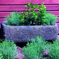 Picture of Rustic Trough
