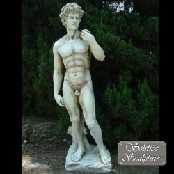 Picture of David Statue 57cm (Marble Arte Range)
