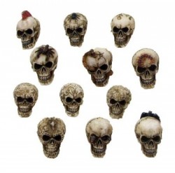 Picture of Doom Skull Pack