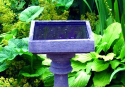 Picture of Baluster Birdbath Top 30 cm