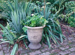 Picture of Vienna Vase 35