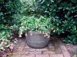 Picture of Barrel Tub Stone Planter