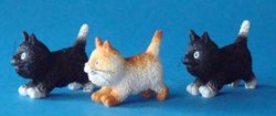 Picture of Three Running Kittens Pack