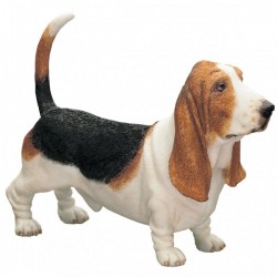 Picture of Basset Hound Standing (Best of Breed)