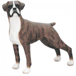 Picture of Boxer Standing (Best of Breed)