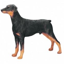Picture of Dobermann Standing (Best of Breed)