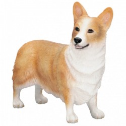 Picture of Corgi Standing (Best of Breed)
