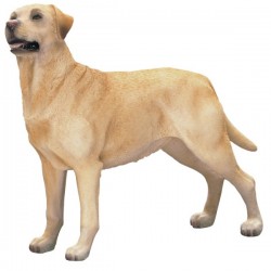 Picture of Labrador Standing (Best of Breed)
