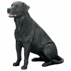 Picture of Labrador Sitting (Best of Breed)