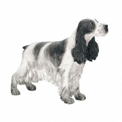 Picture of Cocker Spaniel Standing (Best of Breed)