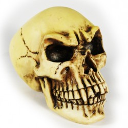 Picture of Voodoo Skull
