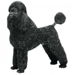 Picture of Poodle Black Standing (Best of Breed)