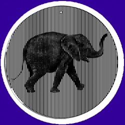 Picture of Elephant Animated Suncatcher Wind Spinner