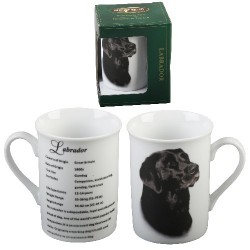 Picture of Labrador Mug (Best of Breed)