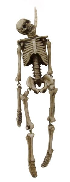 Picture of Hanging Guy 21 cm