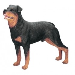 Picture of Rottweiler Standing Figurine (Best of Breed)